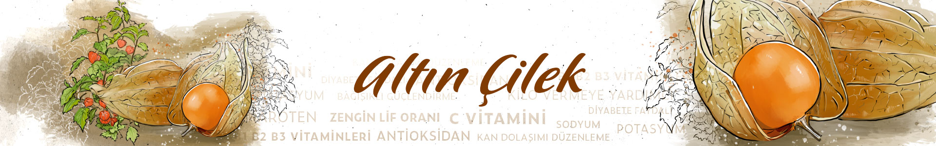 ALTIN-CILEK-SLIDER