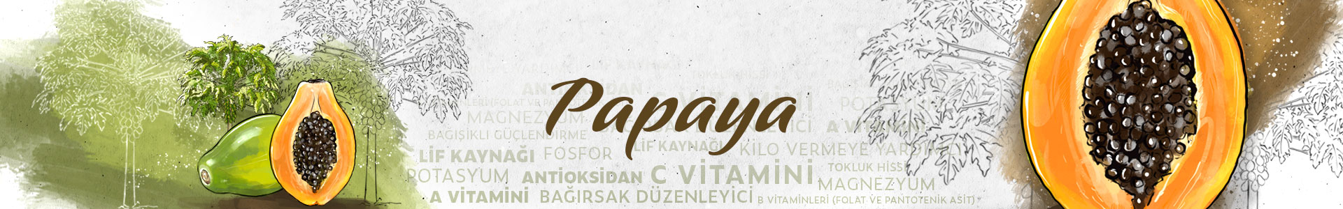 PAPAYA-SLIDER