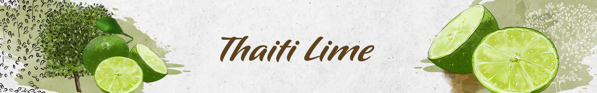 THAITI-LIME-SLIDER